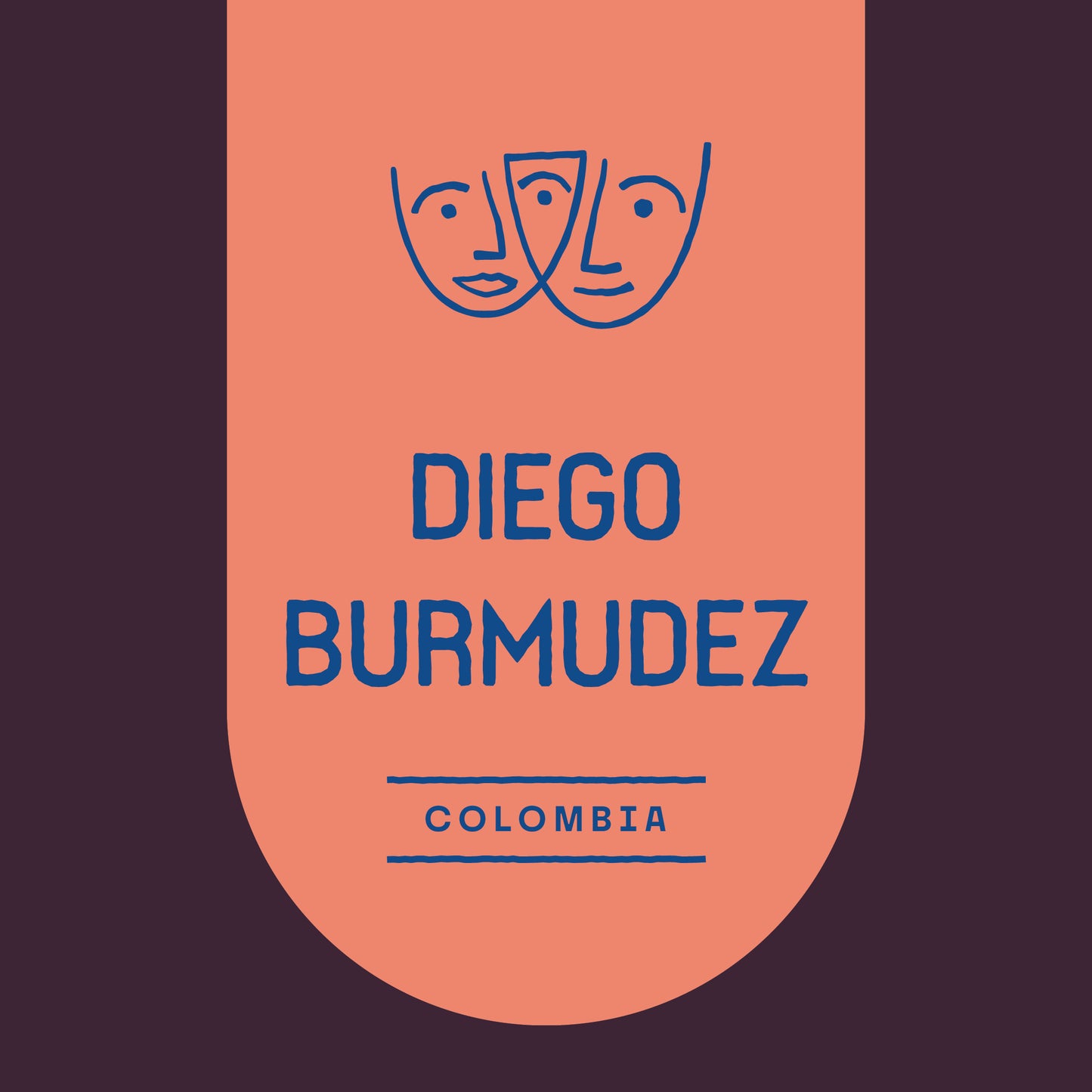 Diego Burmudez