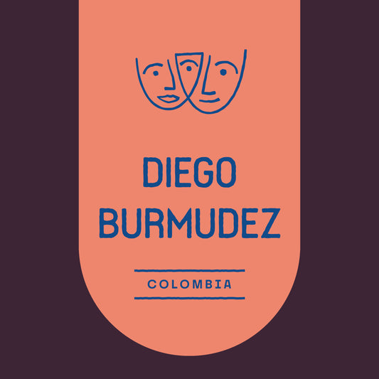 Diego Burmudez